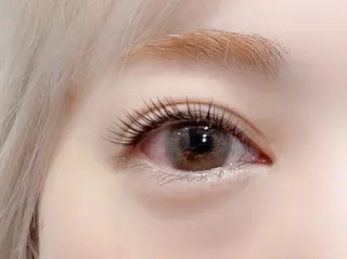 マツエク・マツパ hoshi kuu+r上野店のマツエク・マツパデザイン