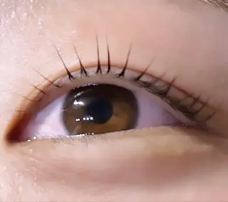 パーマ クレアラルーチェ姫路英賀保店所属・クレアラルーチェ 姫路英賀保店のマツエク・マツパデザイン