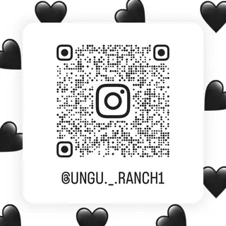 Ran ☆彡のマツエク・マツパデザイン