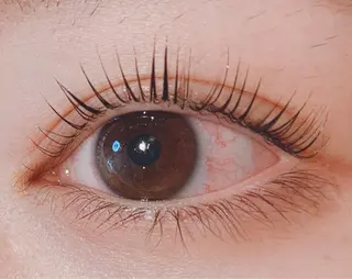 ãããšã¯ã»ããã ðððð ã¢ã€ãªã¹ã â€ïžã®ãããšã¯ã»ããããã¶ã€ã³