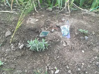 fairytale アロマ&ヘアサロンのエステ・リラクイメージ