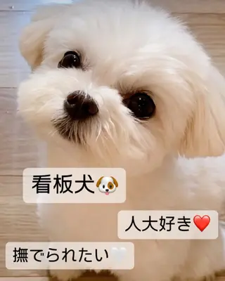 小顔×肌質改善サロン soin〔ソワン〕のエステ・リラクイメージ