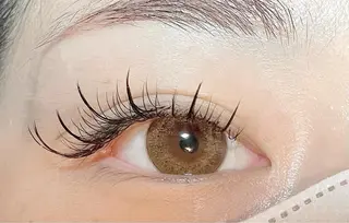 マツエク・マツパ HARIS店長🦋 Ishiguroのマツエク・マツパデザイン