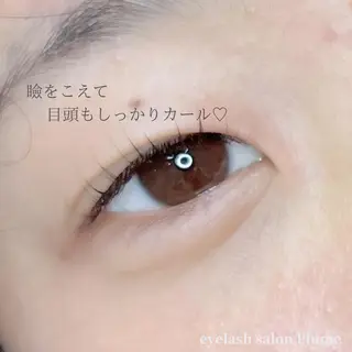 マツエク・マツパ まつ毛、毛穴ケア 専門サロンPlumeのマツエク・マツパデザイン