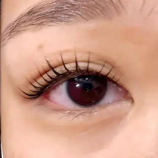 マツエク・マツパ Celeste Venus所属・🧸Celeste Venusのマツエク・マツパデザイン