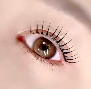 マツエク・マツパ 次世代まつ毛パーマ 上野御徒町店のマツエク・マツパデザイン