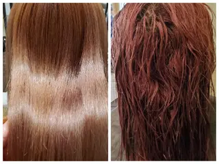 ロング パ ルのヘアスタイル