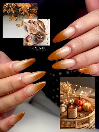 ネイル IDEAL NAIL Private Nail Salon所属・IDEAL NAIL 【アルコネラ敏美】のネイルデザイン