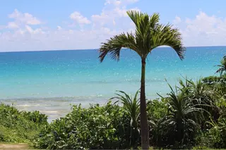 NOA 🏝🌞のマツエク・マツパデザイン