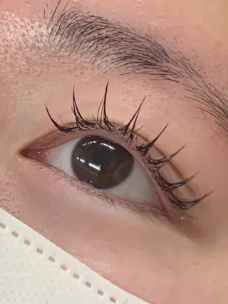 マツエク・マツパ Lil by Fan. 菊池のマツエク・マツパデザイン