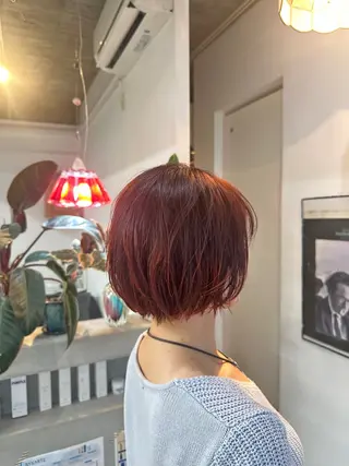 ショート palve(パーヴ)所属・palve【パーヴ】 ｼｮｳ🧸のヘアスタイル