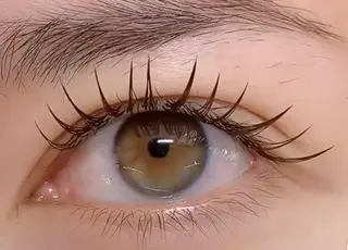 マツエク・マツパ Hawaii Eyelash所属・Hawaii ハワイアイラッシュのマツエク・マツパデザイン