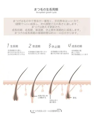 マツエク・マツパ Y.Beauty 池袋のマツエク・マツパデザイン