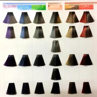 カラー エレガンス 六甲店のヘアスタイル