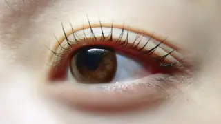 マツエク・マツパ angelux 所属・完全個室サロン🌹 angelux🌹のマツエク・マツパデザイン