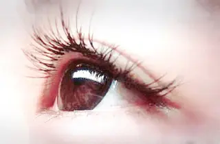 マツエク・マツパ Orange Camelのマツエク・マツパデザイン