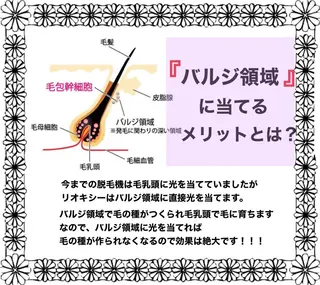 Little River所属・Little Riverのマツエク・マツパデザイン