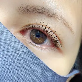 マツエク・マツパ 池野 咲眞の眉毛・アイブロウイメージ