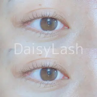 マツエク・マツパ DaisyLash 京橋店のマツエク・マツパデザイン