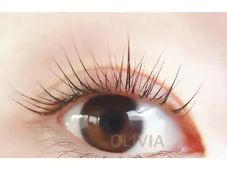 マツエク・マツパ Olivia アイラッシュのマツエク・マツパデザイン