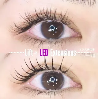 マツエク・マツパ LEDエクステ専門店 Fedis 京橋のマツエク・マツパデザイン