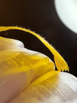 esty hitomiのエステ・リラクイメージ