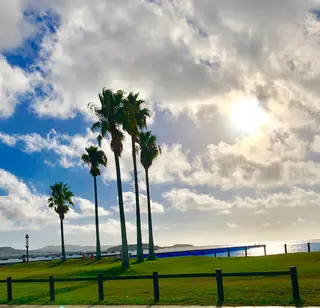 フェアリーテイル所属・吉田 典弘のヘアスタイル