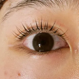 マツエク・マツパ Celeste Venus所属・🧸Celeste Venusのマツエク・マツパデザイン