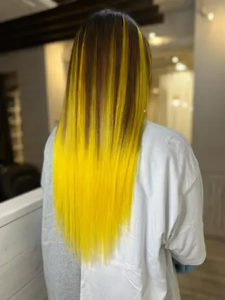 ロング カラー ヘアアレンジ Shelltie Fiel (シェルティフィエル)所属・次世代シールエクステ 錦糸町 小泉 朋之のヘアスタイル