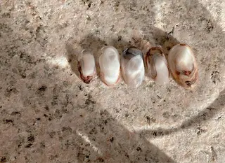 ネイル nail salon Farbe〜ファルべのネイルデザイン