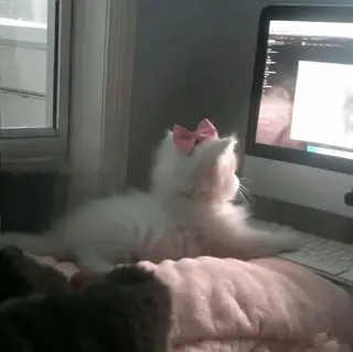 N a t s u m e 🎀🌙のマツエク・マツパデザイン