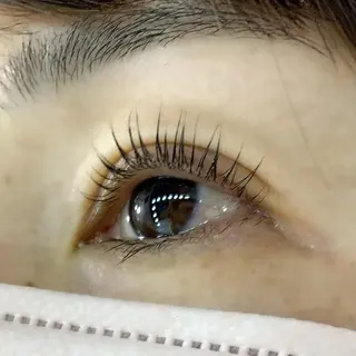 マツエク・マツパ Celeste Venus所属・🧸Celeste Venusのマツエク・マツパデザイン