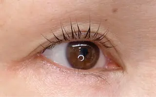 マツエク・マツパ サロンイズディス所属・🐥日比野 令🐥のマツエク・マツパデザイン