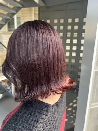 ミディアム カラー 菅野 杏実のヘアスタイル