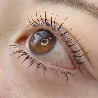 マツエク・マツパ TOPアイリスト ふたつぎちさとのマツエク・マツパデザイン