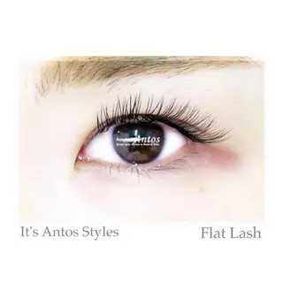 マツエク・マツパ まつげ&眉の専門店 アントススタッフの眉毛・アイブロウイメージ