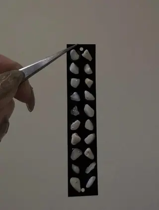 ネイルサロン Fii【フイ】のネイルデザイン