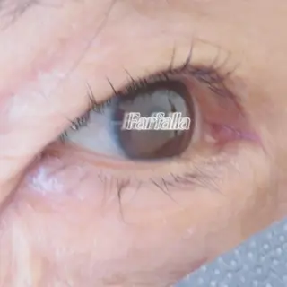 マツエク・マツパ Farfalla Kieのネイルデザイン