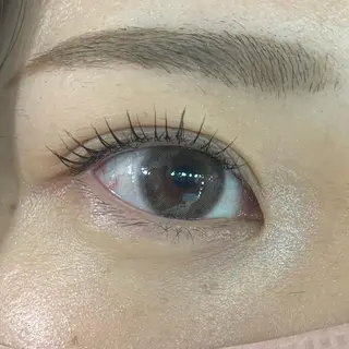 マツエク・マツパ Celeste Venus所属・🧸Celeste Venusのマツエク・マツパデザイン