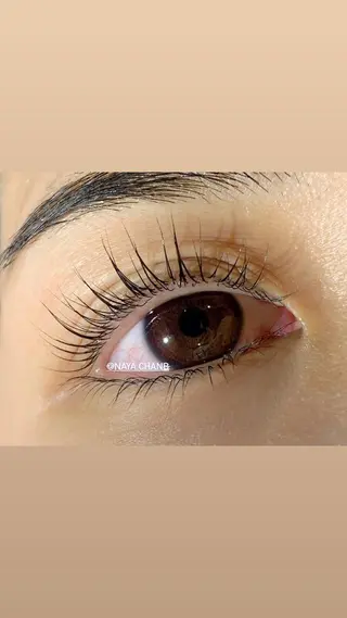 マツエク・マツパ アイラッシュリゾート　カハラ　立川所属・🦎kahala なや🦎のマツエク・マツパデザイン