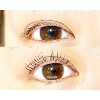 マツエク・マツパ étora eye渋谷のマツエク・マツパデザイン