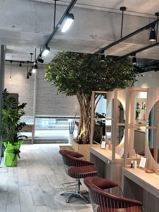 美髪✨髪質改善特化 🦩対馬🦩のヘアスタイル