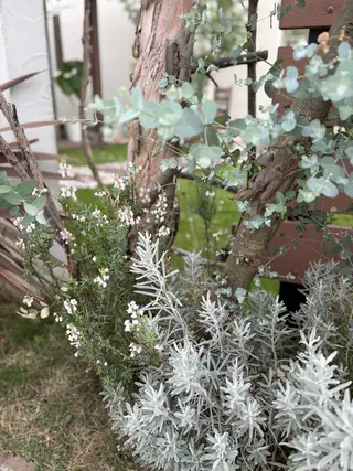 ネイル 🌲🌳🚪iiit o🌲🌳🌲のネイルデザイン