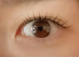 マツエク・マツパ Celeste Venus所属・🧸Celeste Venusのマツエク・マツパデザイン