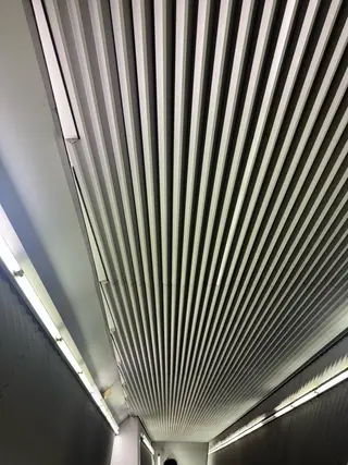 ネイル MITSUKI🪡 海外/個性派/ロングのネイルデザイン