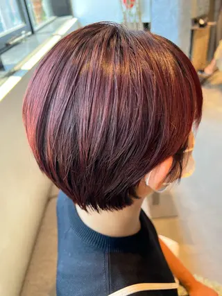 ショート カラー 🌐👽フクイ キララ🌎💎のヘアスタイル