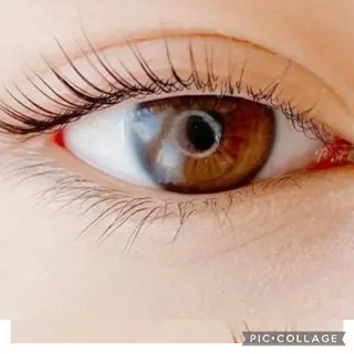 マツエク・マツパ TRUTH鎌ヶ谷💛 吉本のマツエク・マツパデザイン