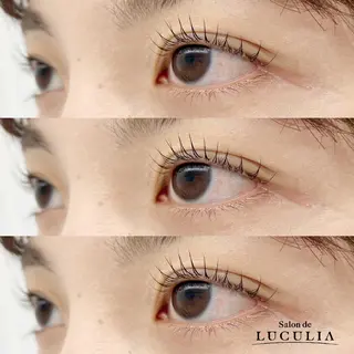 マツエク・マツパ LUCULIA 広尾のマツエク・マツパデザイン