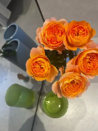 韓国🇰🇷価格 サロン_Nbibiのエステ・リラクイメージ