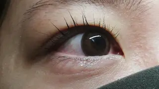 マツエク・マツパ angelux 所属・完全個室サロン🌹 angelux🌹のマツエク・マツパデザイン